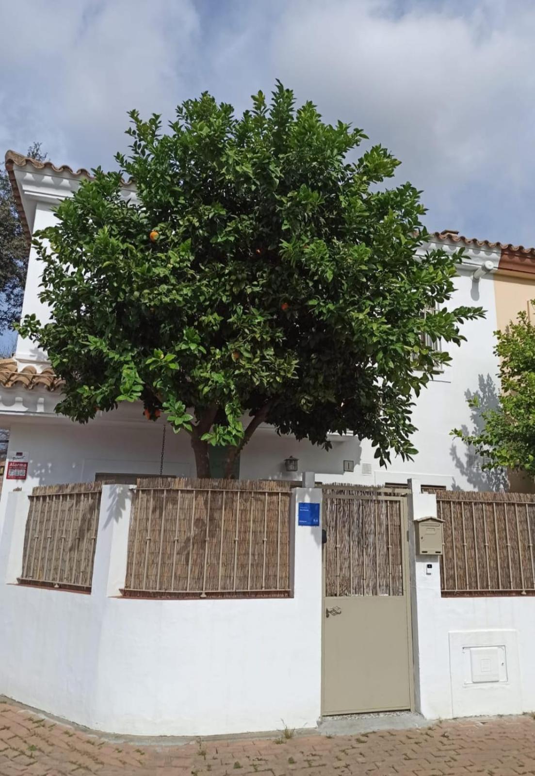 Apartamento Nao Victoria Gelves Exterior foto